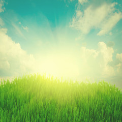 Fototapeta na wymiar rising sun and green grass under blue sky