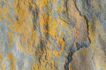 Colorful  textured stone background