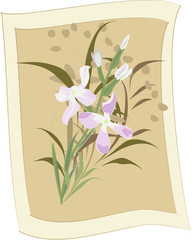 Vector background Wild flowers and Night Violet with Sepia framed.
