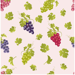 Vector repeating pattern with grape clusters in vintage style.