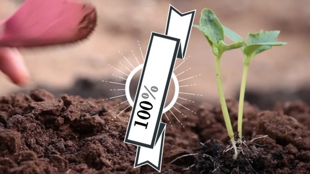 organic cultivation idea