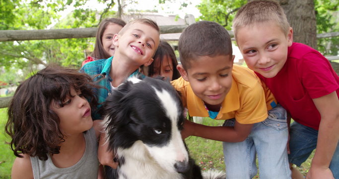 Children playing in the park with a Border Collie dog