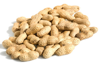 Арахис нечищеный на белом фоне