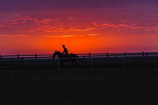 Horse Rider Dawn Sunrise training track silhouetted.