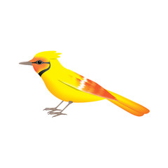 bird vector icon