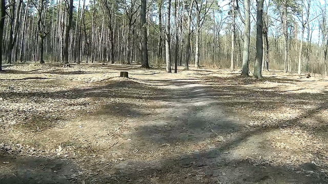 Fast driving the bicycle on the wood. POV clip
