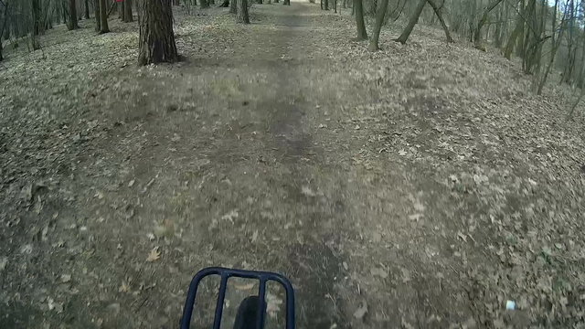 fast driving the bicycle on the wood. Weel .lPOV clip