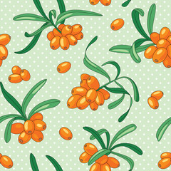 Sea buckthorn seamless pattern