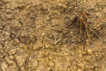 Dig the soil barren.