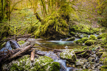 Rivière de montagne