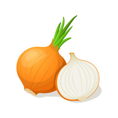 Onion isolated on white. Vector illustration