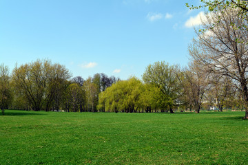 Измайловский остров. Парк.