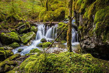 Nature et verdure