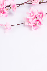 Plastic sakura on white background