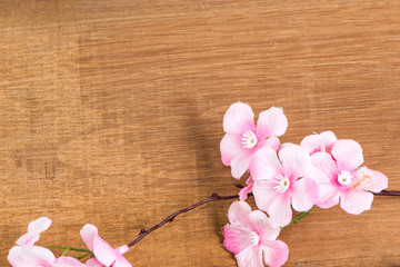The Plastic sakura on wood background, plank