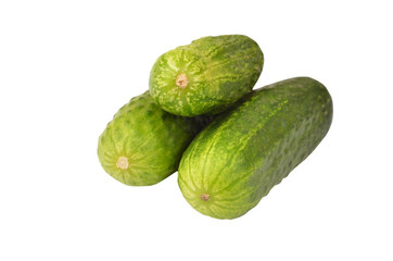 Green cucumber gherkin