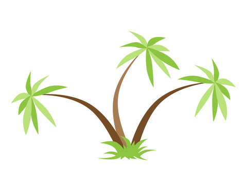 Three palm trees isolated