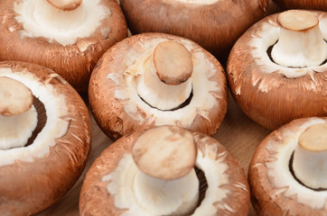 Champignon (True mushroom)