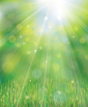 Vector green background with rays, lights and grass border.