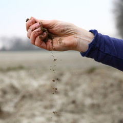 sand/ sand held in a hand on a Farmland in the Netherlands