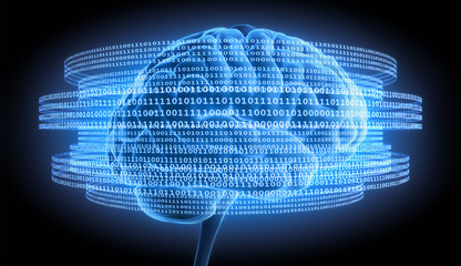 Gehirn und digitale Daten