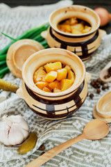 
National Russian , Ukrainian and Belarusian cuisine , baked potatoes with meat in the pot , onion , pepper, garlic , pickled cucumber and spices on a wooden background