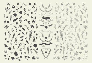 Hand Drawn vintage floral elements. Set of flowers.  
