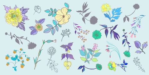 Hand Drawn vintage floral elements. Set of flowers.
