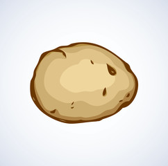 Potato. Vector drawing