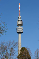 Fototapeta premium Florian Tower