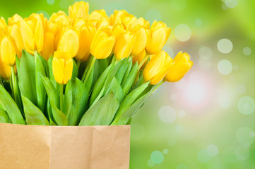 Tulips flowers on green background