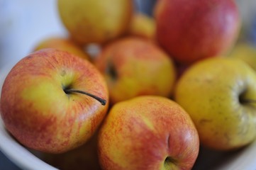 pomme de race jonagold