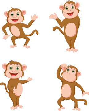 cute monkey cartoon