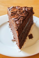 A piece of soft chocolate cake on white plate.
