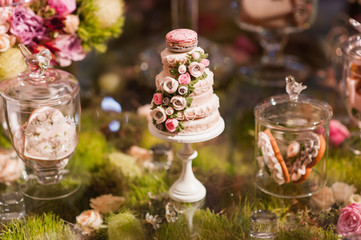 eco-friendly French makarons cake on the table