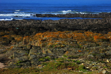 Fototapeta na wymiar Coast between Praia do Porto de Vinha and Praia do Canto Marinho near Viana do Castelo, Northern Portugal