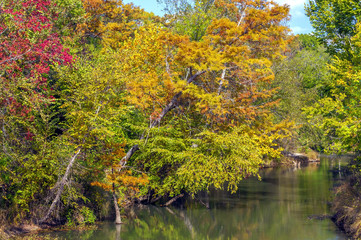Texas Fall Colors #2