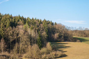 Landschaft im Frühjahr