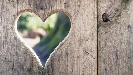 Cut log wood with lightening heart shape, background texture