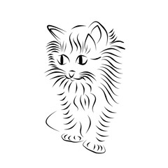 Котенок, силуэт пушистого котенка на белом фоне. 