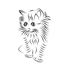 Котенок, силуэт пушистого котенка на белом фоне. 