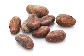 raw cacao cocoa beans on white background
