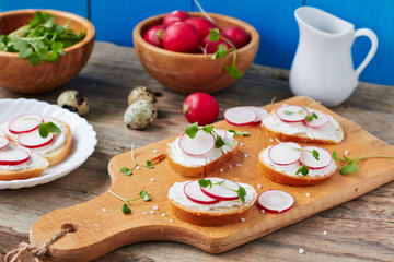 Bread with cottage cheese, radish and herbs on a cutting board,horizontal