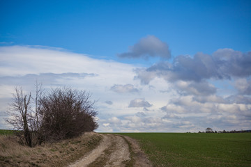 Landschaft im Frühjahr