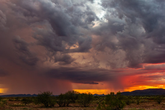Fototapeta Storm at sunset in the desert near Phoenix, Arizona