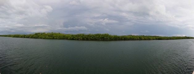 Fototapeta premium Zielony horyzont