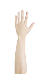 Obraz premium woman hand five count. isolated on white background with clipping path