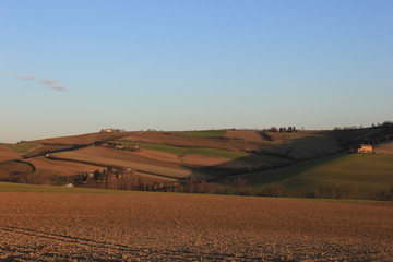 Fototapeta premium campagna marchigiana