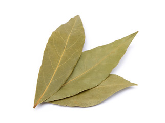 Fototapeta premium Spices bay leaves isolated on white background