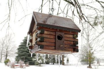 Log cabin bird house frosty